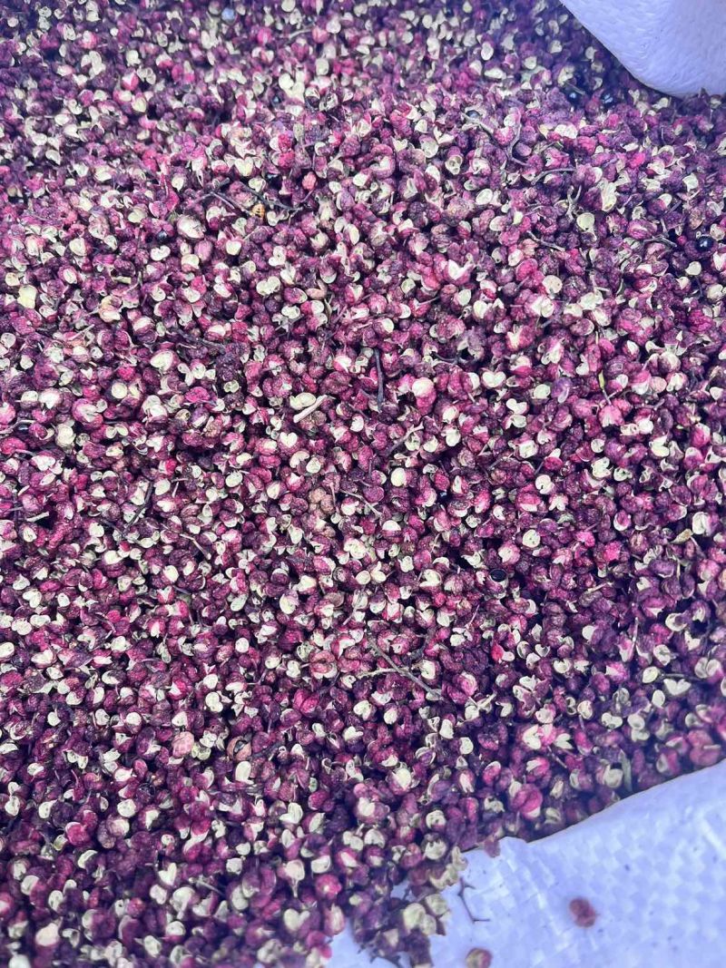 大红袍花椒干花椒