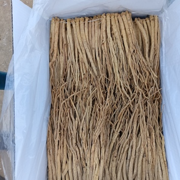 白条党参白条党参，长条，有土色跟水洗两种，无硫，线串