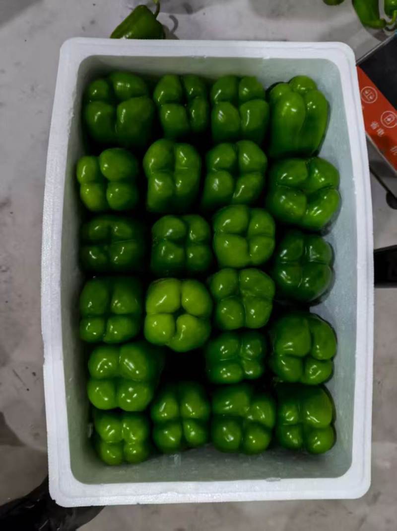 线椒普货