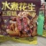 批发熟花生300g/包休闲零食