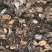 松茸按规格分级：3-5cm/5-7cm/7-9cm/9-
