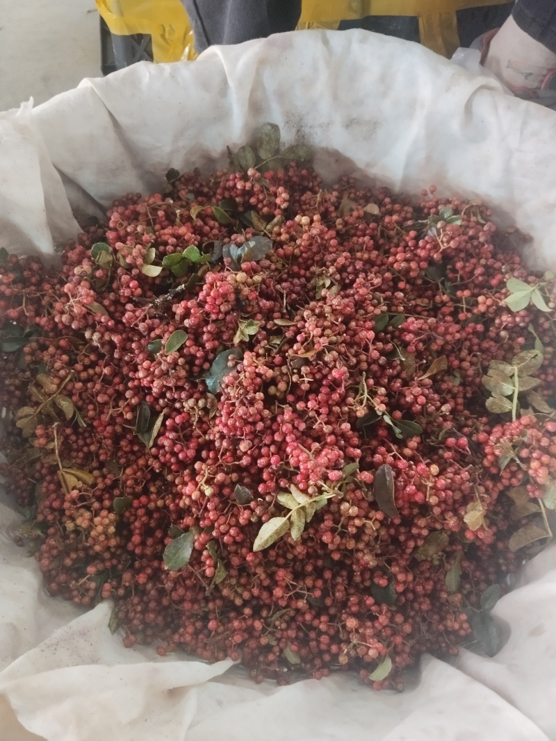花椒新鲜花椒