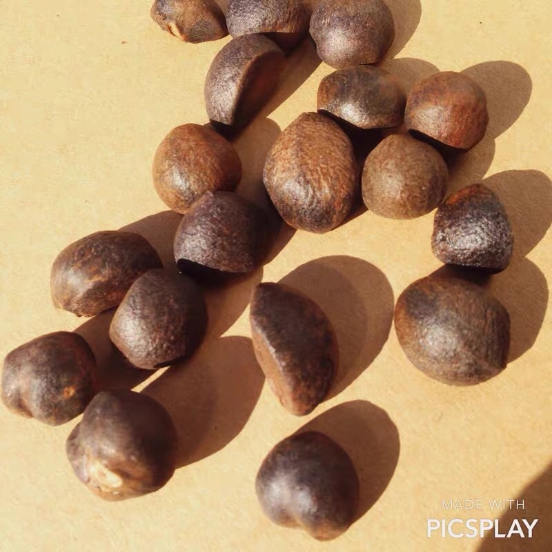 油茶籽统货