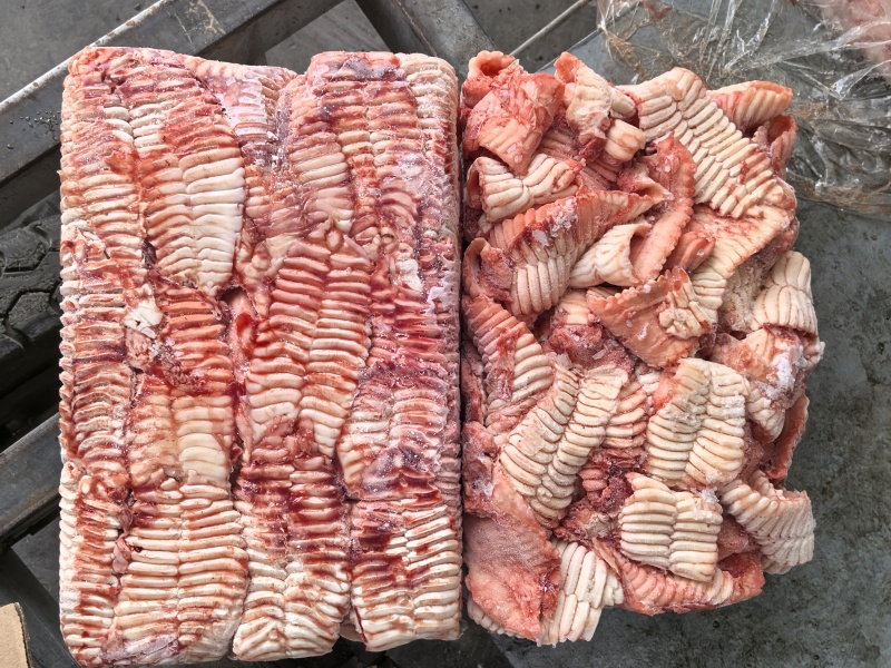 猪天梯纯干天梯，牙板牙卡，不带肉，纯干货没下水，龙大厂子