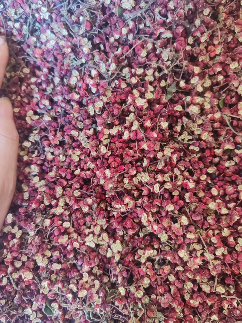 花椒干花椒，大红袍
