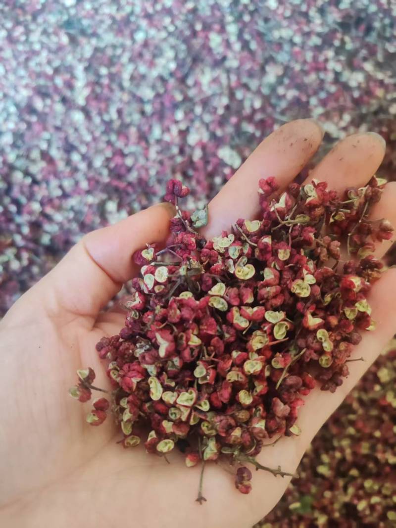 花椒干花椒，大红袍