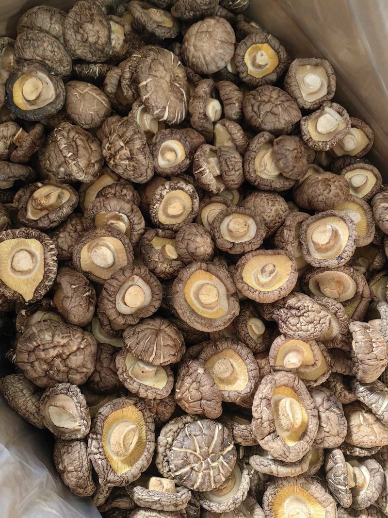 干香菇各种规格都有