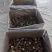 干香菇各种规格都有