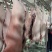 猪肉白条