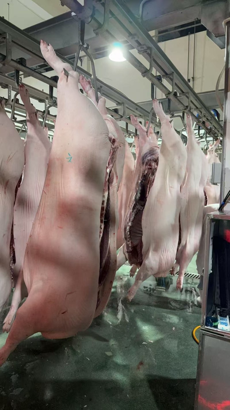 猪肉白条