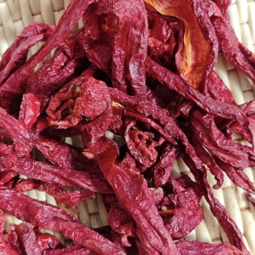 干辣椒条形，新疆厚肉辣皮子，干度很干