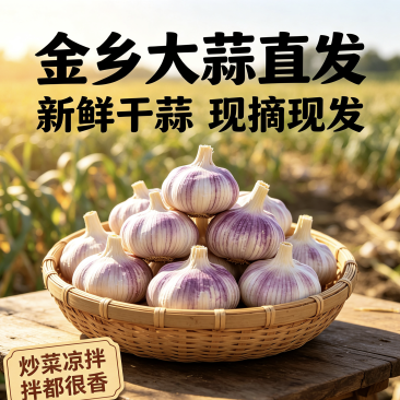 山东紫皮大蒜头新干蒜