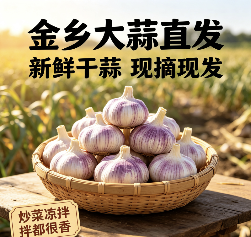 山东紫皮大蒜头新干蒜