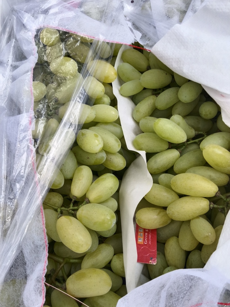 葡萄通货