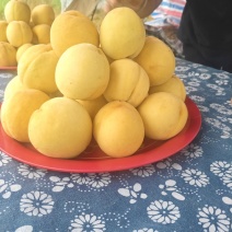 黄桃三两到七两