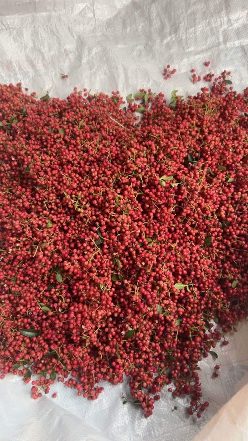 花椒红花椒