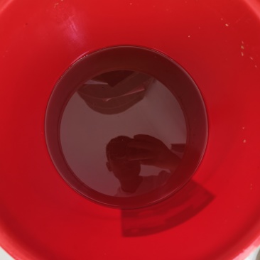 蜂蜜土蜂蜜