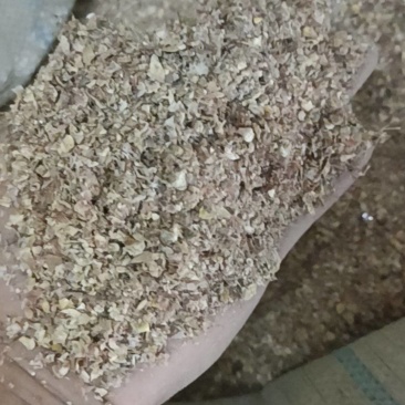 玉米毛糠粗中带细的糠皮，已过筛