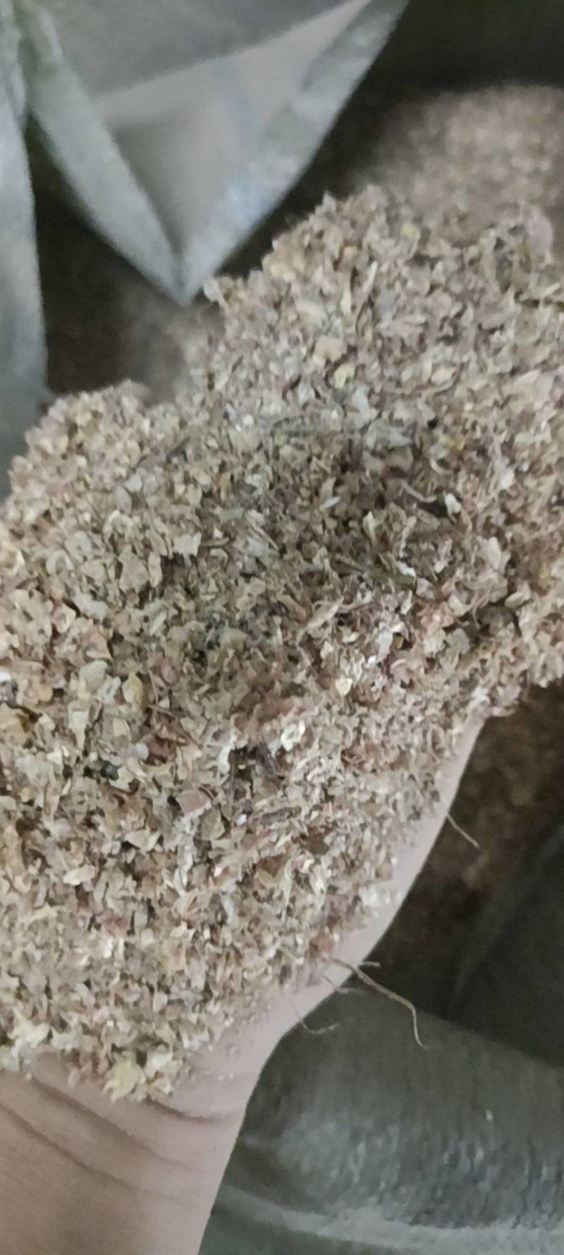 玉米毛糠粗中带细的糠皮，已过筛