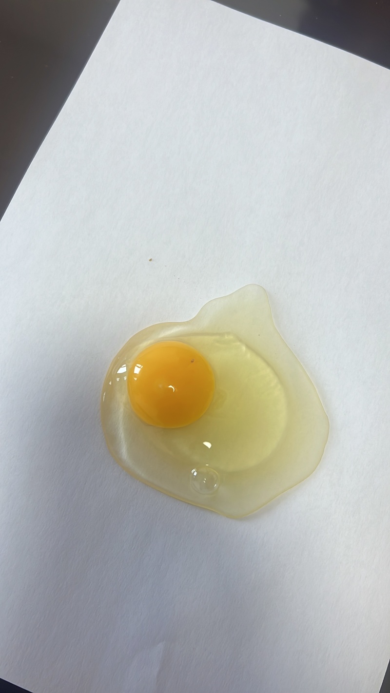 鸡蛋粉蛋