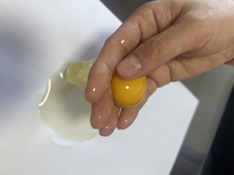 鸡蛋粉蛋