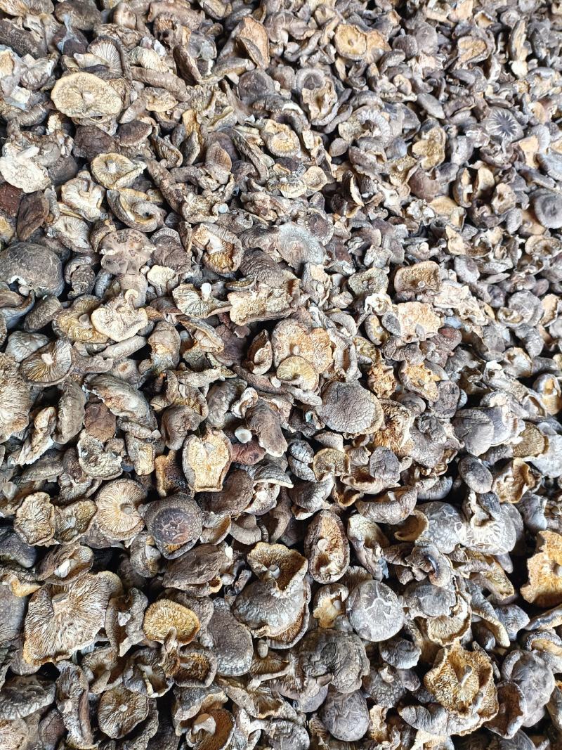 干香菇白花菇6-9厘米/茶花菇4-9厘米，间隔1厘米一个