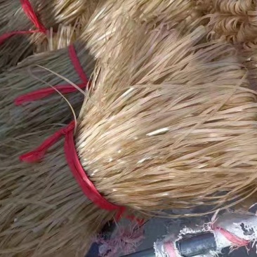 粉条