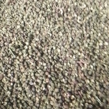 花椒干花椒/湿花椒；干花椒有4斤/袋包装