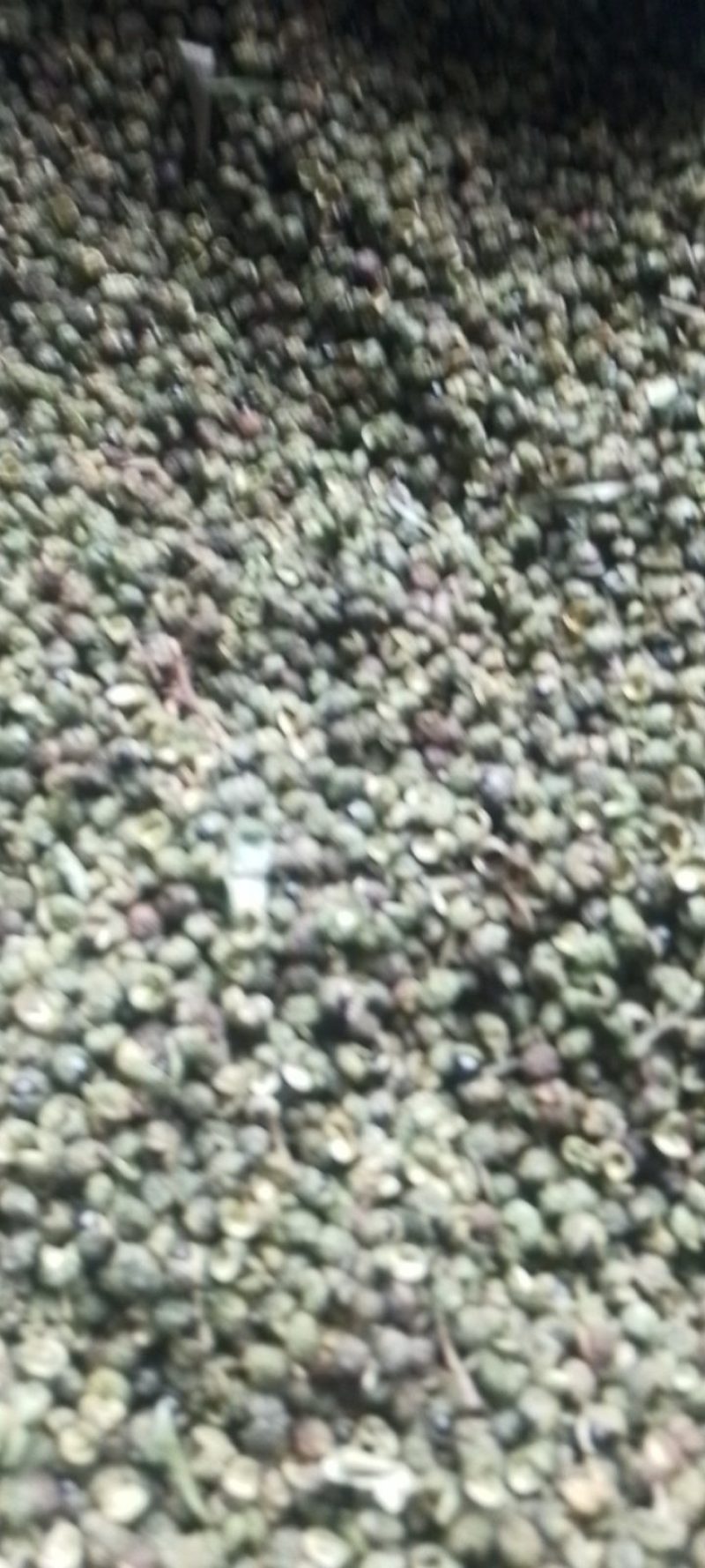 花椒干花椒/湿花椒；干花椒有4斤/袋包装