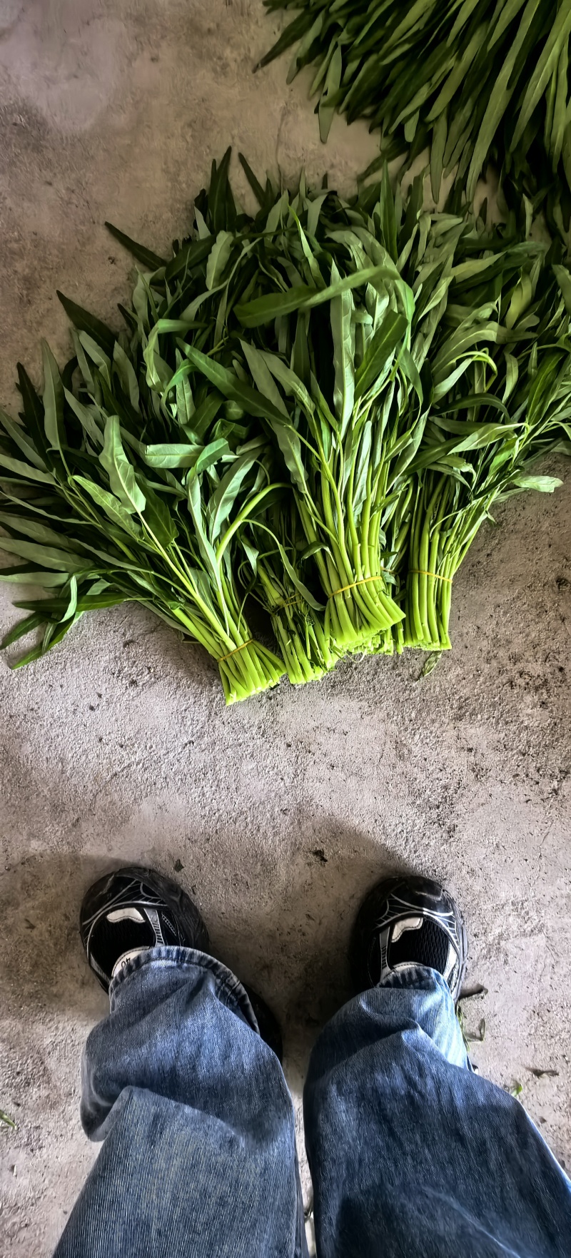 空心菜一把一斤