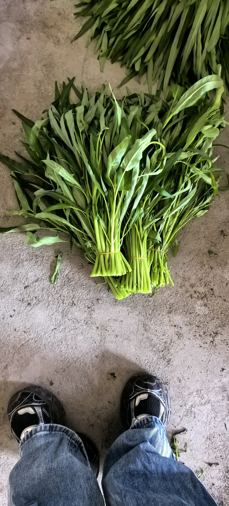 空心菜一把一斤