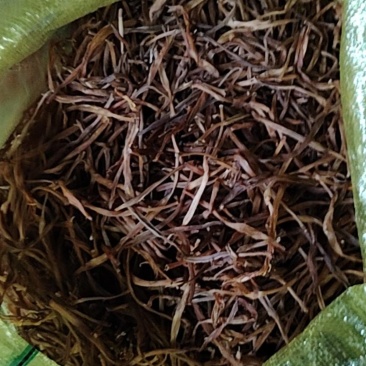 黄花菜干的一级