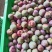 李子统货15克起