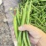 鲜辣椒线辣椒