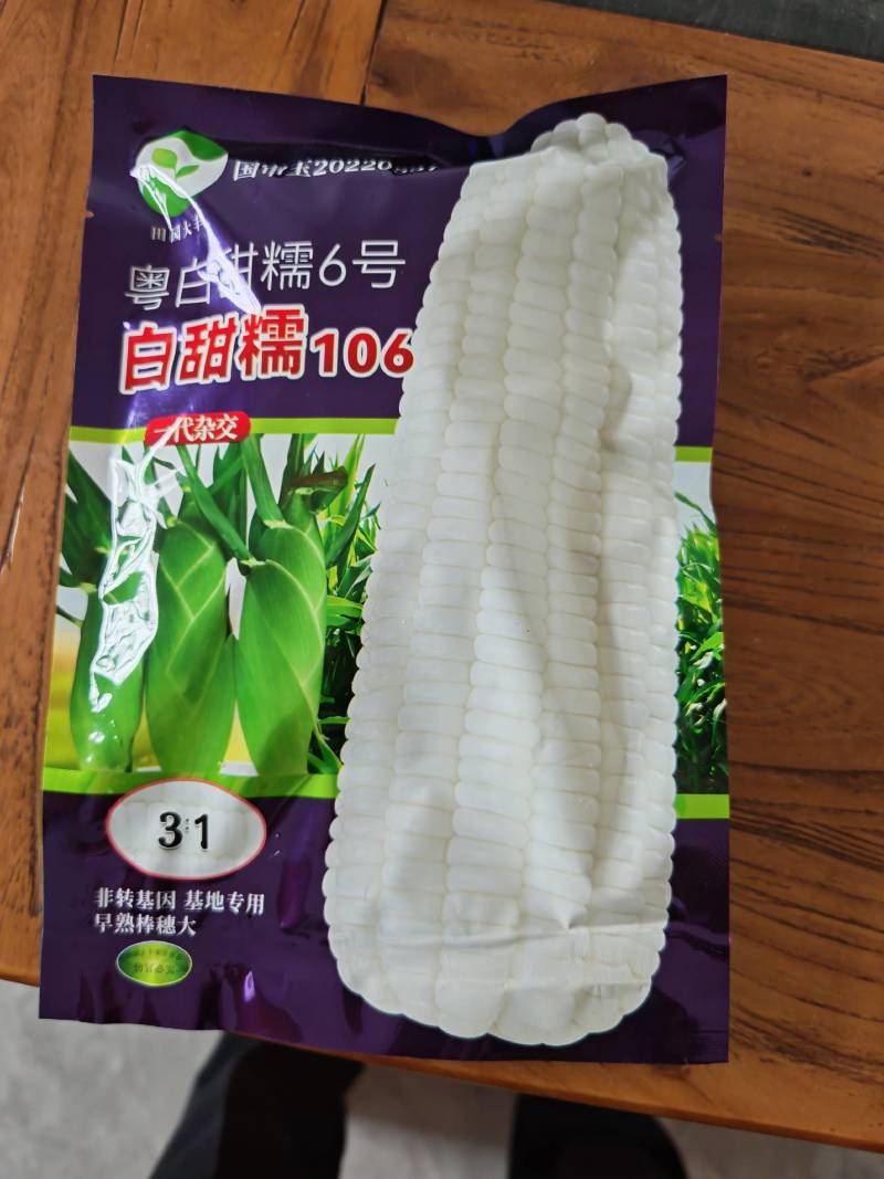 甜玉米粤白甜糯6号，白甜糯106，非转基因