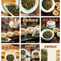 单丛茶