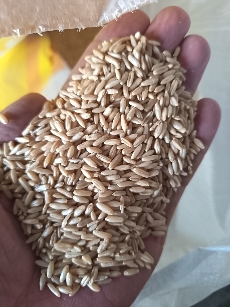 燕麦燕麦仁