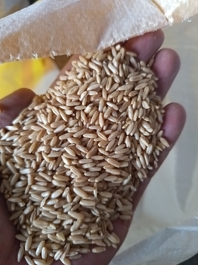 燕麦燕麦仁