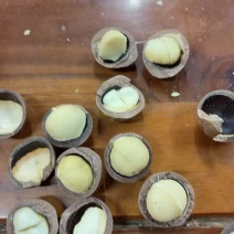 夏威夷果中果/特大/特大26+/超大28+/手捏26+/