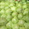 彭永杰的一亩田店铺