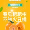合丰果业的一亩田店铺