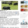刘毛华的一亩田店铺