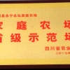 欧小荣的一亩田店铺