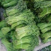 刘加尽的一亩田店铺