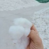 徐玉霞的一亩田店铺