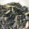 天印渔业的一亩田店铺
