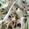 汝南怡轩草业的一亩田店铺