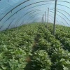 梁本景的一亩田店铺