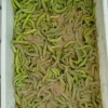 梁小仁的一亩田店铺