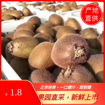 陕西猕猴桃徐香眉县绿心猕猴桃水果批发产地大量供应